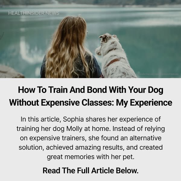 How to Train and Bond With Your Dog Without Expensive Classes: My Experience