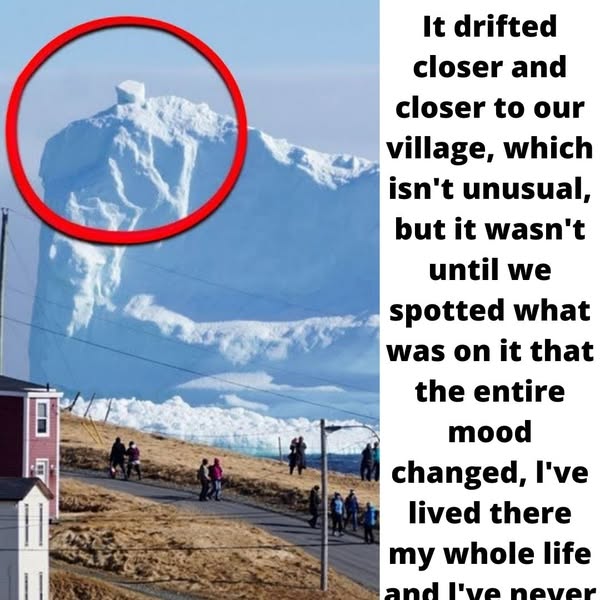 Iceberg Floats Close To Small Village When Residents See What's On It, They Turn Pale